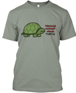 Normal Ass Turtle