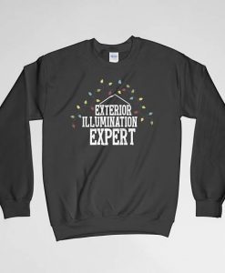 Exterior Illumination Expert, Exterior Illumination Expert Sweatshirt, Exterior Illumination Expert Crew Neck, Christmas Sweatshirt