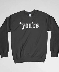 You're, Grammar Sweatshirt, You're Sweatshirt, Teacher Sweatshirt, Crew Neck, Long Sleeves Shirt, Gift for Him, Gift For Her