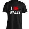 I love Wales, t-shirt Welsh dragon culture patriotic flag Cymru language proud country lover hipster gift 5836