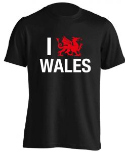 I love Wales, t-shirt Welsh dragon culture patriotic flag Cymru language proud country lover hipster gift 5836