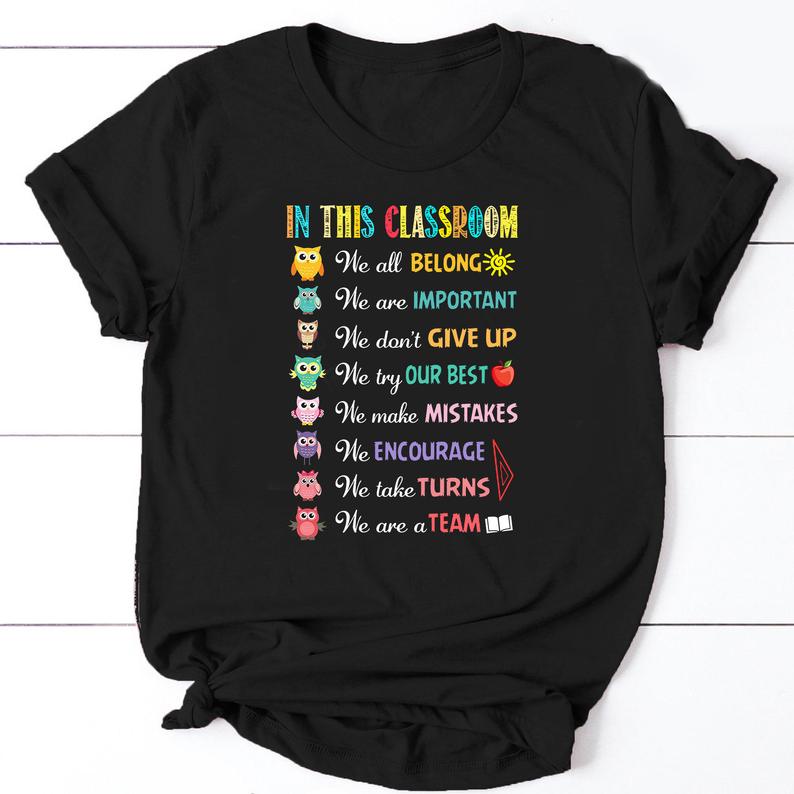 Funny Owl Teacher In This Classroom We All Belong Tshirt