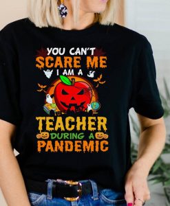 I Am A Teacher During A Pandemic Funny Halloween Teacher T-shirt