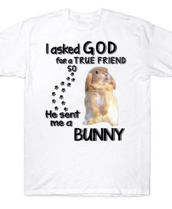 I Asked God For A True Friend He Sent Me A Bunny Lovers T-shirt