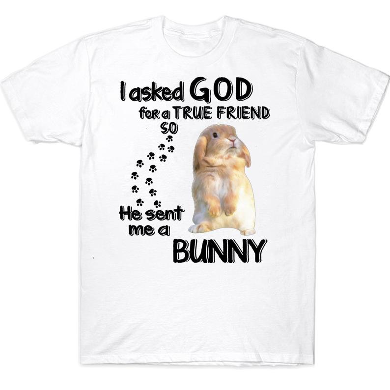 I Asked God For A True Friend He Sent Me A Bunny Lovers T-shirt