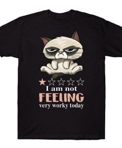 I'm Not Feeling Very Worky Today Funny Grumpy Cat T-shirt