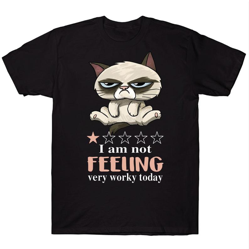 I'm Not Feeling Very Worky Today Funny Grumpy Cat T-shirt