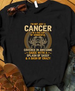 I'm Not Just A Cancer Zodiac Shirt, June Birthday