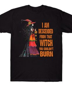 I Am Descended From That Witch You Couldn't Burn Awesome Halloween T-shirt