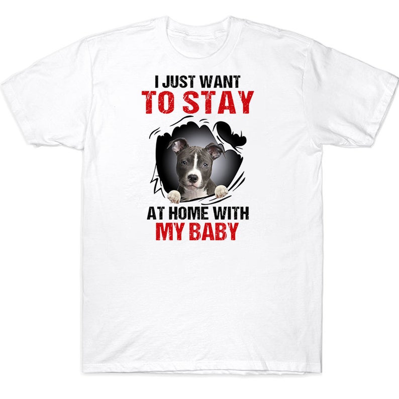 I Just Want To Stay At Home With My Baby Pitbull Lovers T-shirt