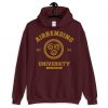 Airbending University Est 925 Air Nomad Unisex Hoodie