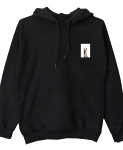 Llama Hoodie