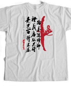 Taekwondo Tenets Kick T Shirt