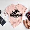 Teaching Is A Walk In The Park Shirt