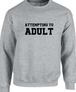 Attempting to Adult Funny Ladies Unisex Womens Sweatshirt