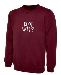 Dude WTF Sweatshirt