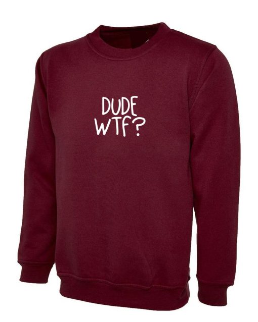 Dude WTF Sweatshirt