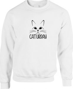 Funny Caturday Cats Lover Gift Sweatshirt