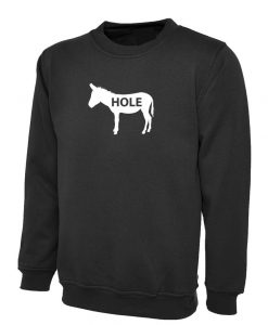 Hole Joke Humour Naughty Mens Sweatshirt