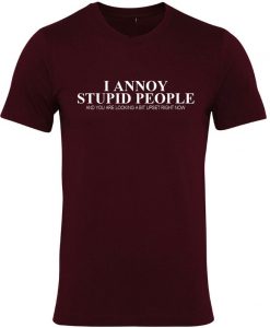 I annoy stupid People Tshirt