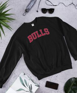 Retro Bulls Sweatshirt