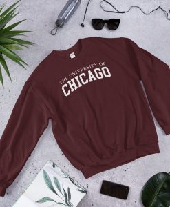 University of Chicago sweatshirt