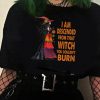 I am descended from that witch you couldn't burn T shirt