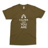 CALMER THAN YOU Shirt