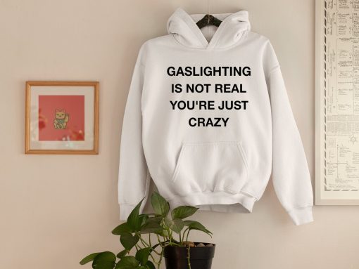 Gaslighting Is Not Real Hoodie