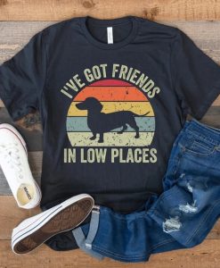 I've Got Friends In Low Places T Shirt