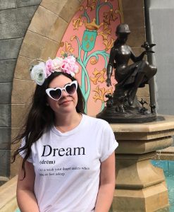 Dream Definition Wish Your Heart Makes Shirt