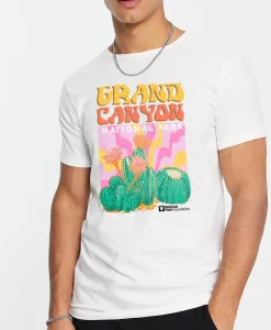 Grand Canyon National Park T Shirt