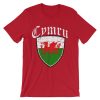 Cymru Wales T Shirt