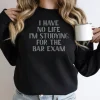 I Have No Life I'm Studying For The Bar Exam Sweatshirt