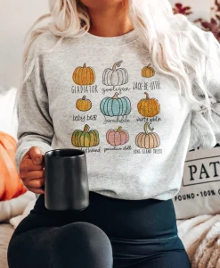 Pumpkin Sweatshirt