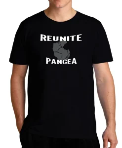 Reunite pangea T-shirt